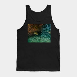 Grouper Hunting School of Minnows Tank Top